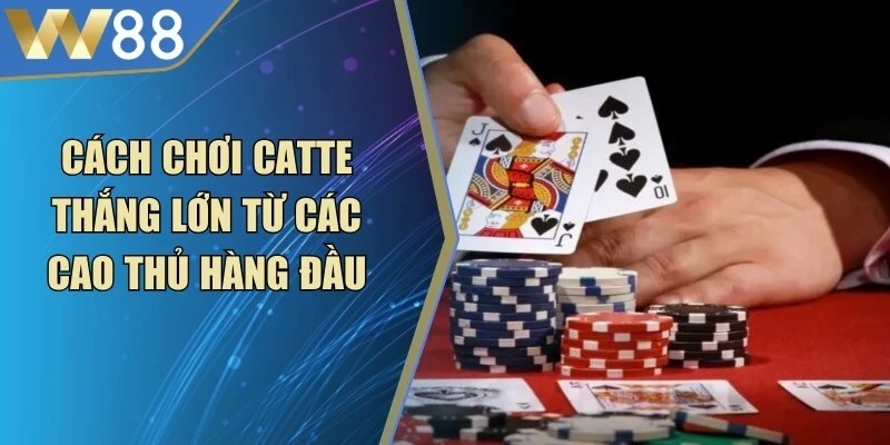 Cách Chơi Catte