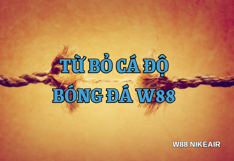 tu bo ca do bong da w88
